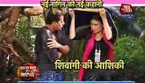Naagin 2 Colorstv 16th October 2016 News