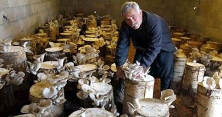 Çiftçiliği Bırakıp Bu İşe Girdi! Yıllık Kazancı 50 Bin Lira