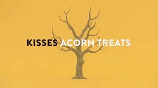 kisses acorn treats