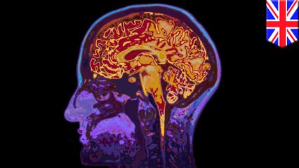 UK scientists develop gene therapy to successfully treat early stages Alzheimer's disease