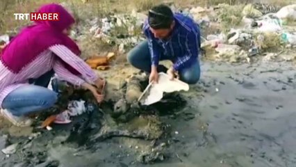 Zifte saplanan köpek yavrusu kurtarıldı