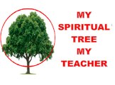 Lessons From My Spiritual Tree | My Teacher | Always Motivated