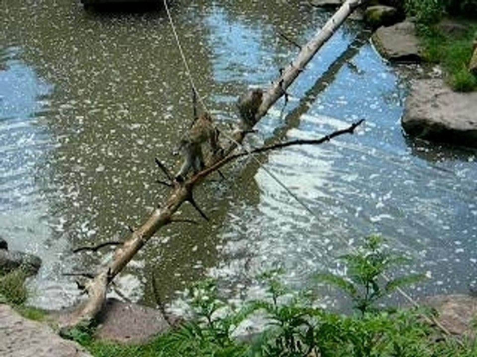 Louane vacances août 2007 048