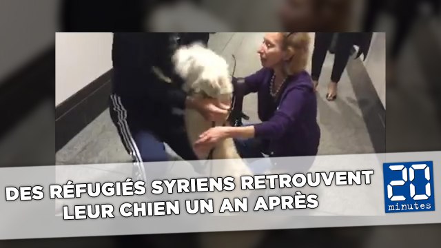 Des réfugiés syriens retrouvent leur chien un an après