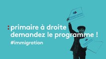 Droit du sol, regroupement familial : que disent les candidats à la primaire de la droite ?