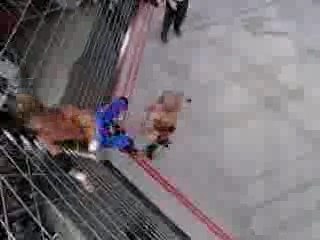 Daniels vs Lynn Lockdown