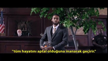 Eğitim sistemine mükemmel eleştiri