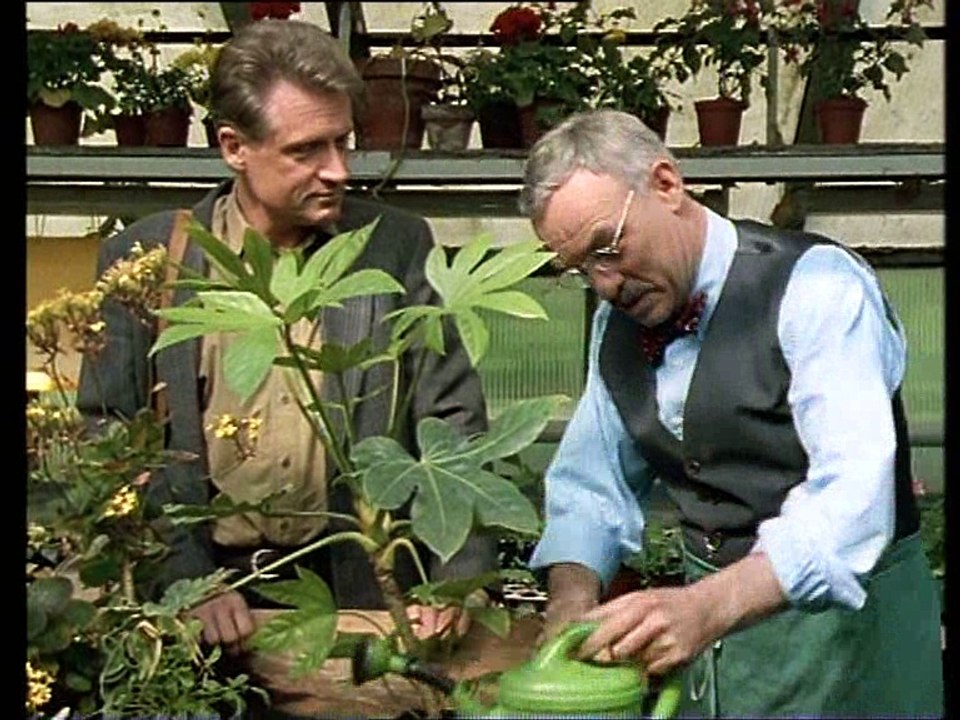 Unser Lehrer Dr. Specht - Insel mit Internat