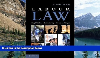 Books to Read  Labour Law (Law in Context)  Full Ebooks Most Wanted