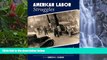 Full Online [PDF]  American Labor Struggles and Law Histories  Premium Ebooks Online Ebooks
