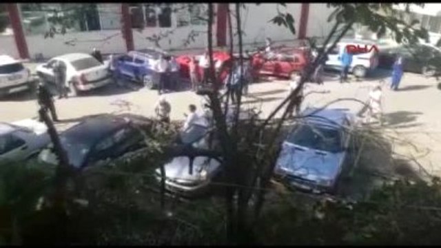 Bursa'da Lodos Ağaçları Devirdi