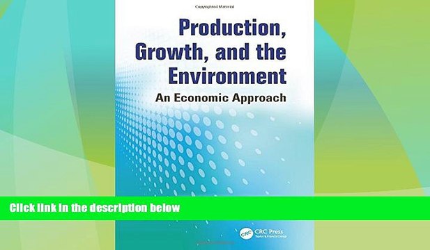 complete Production, Growth, and the Environment: An Economic Approach