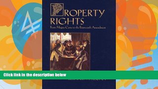 Big Deals  Property Rights: From Magna Carta to the Fourteenth Amendment (Sexuality   Culture,)