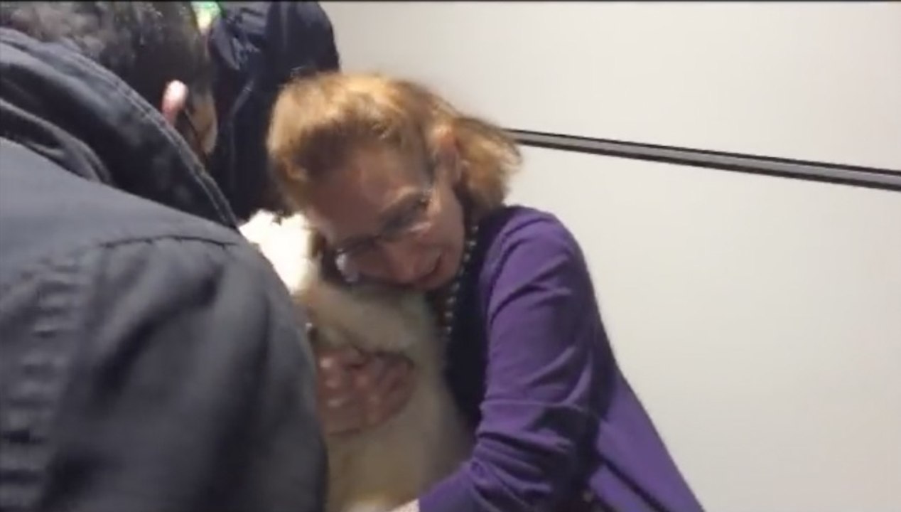 Une famille syrienne retrouve son chien un an après avoir fui la guerre