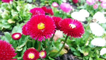 HTC One M9 Review - Too little too late? | SuperSaf TV