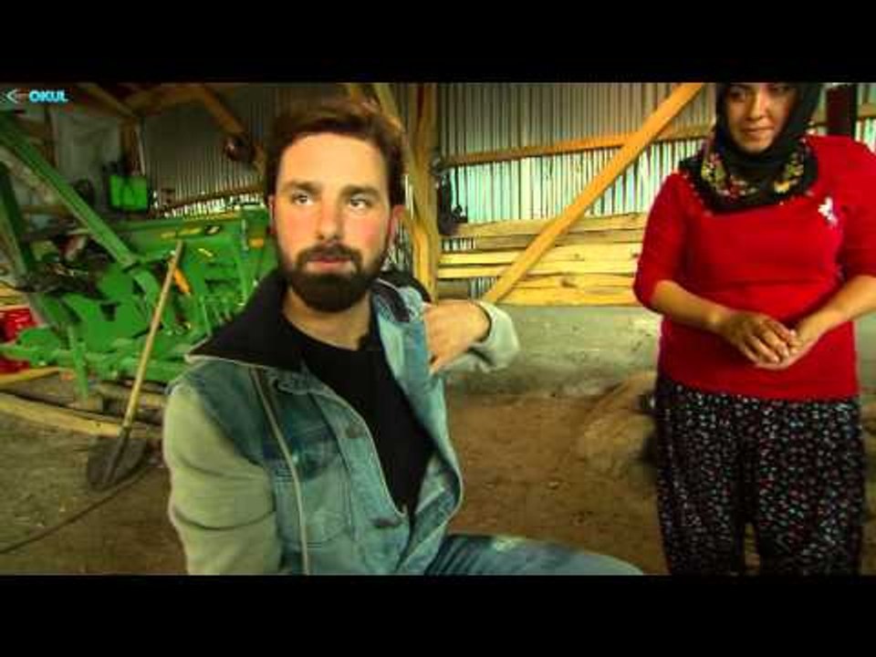 Ben Yaparım - Marmelat - TRT Okul