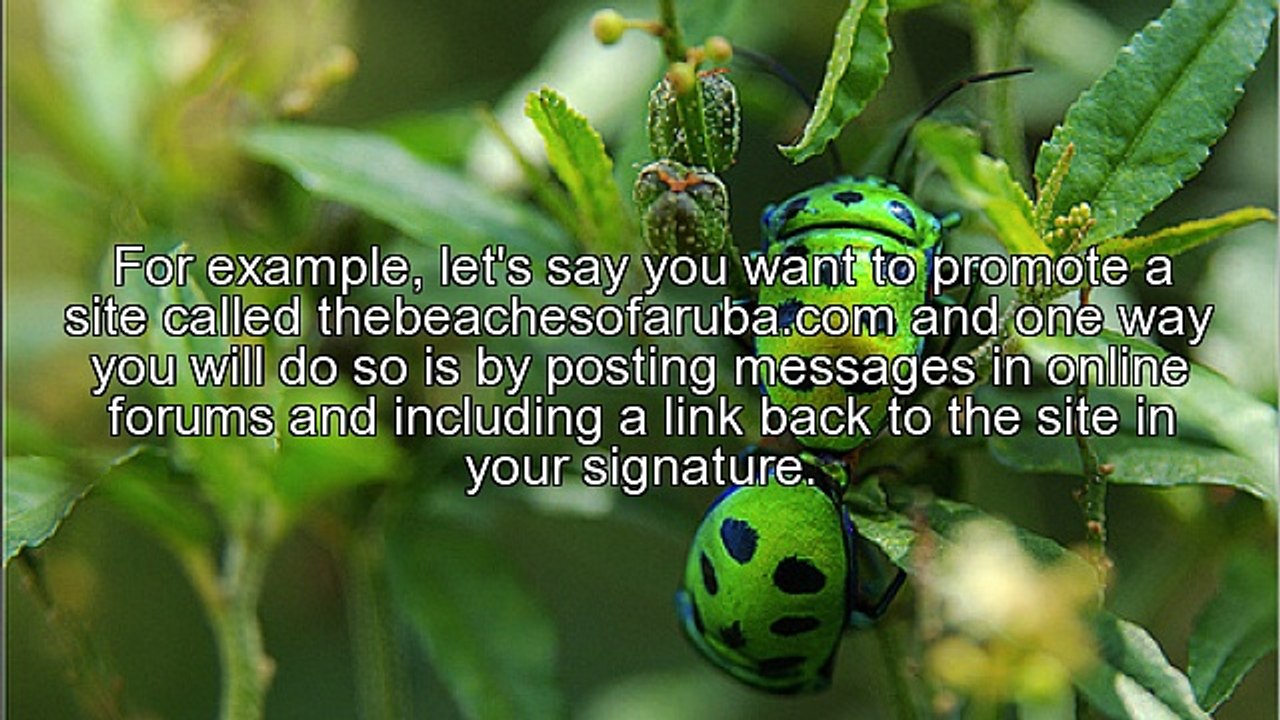 Why More Traffic Should Not Be Your Goal