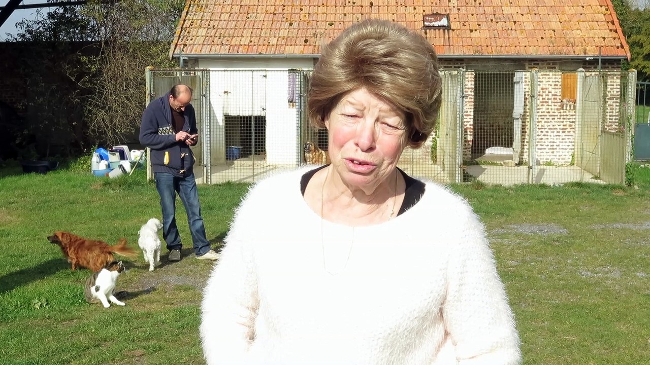 La maison de retraite pour chats et chiens de Villequier-Aumont