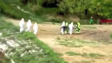 5 Real Life Mermaids Caught On Tape