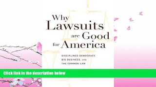 FREE PDF  Why Lawsuits are Good for America: Disciplined Democracy, Big Business, and the Common