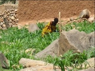 Pilon du Mali