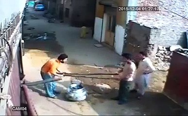 losers lost control  Haleem fall