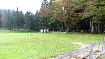 Humble dwelling covered with bark called Skorjanka - Pohorje, Kope, Slovenija