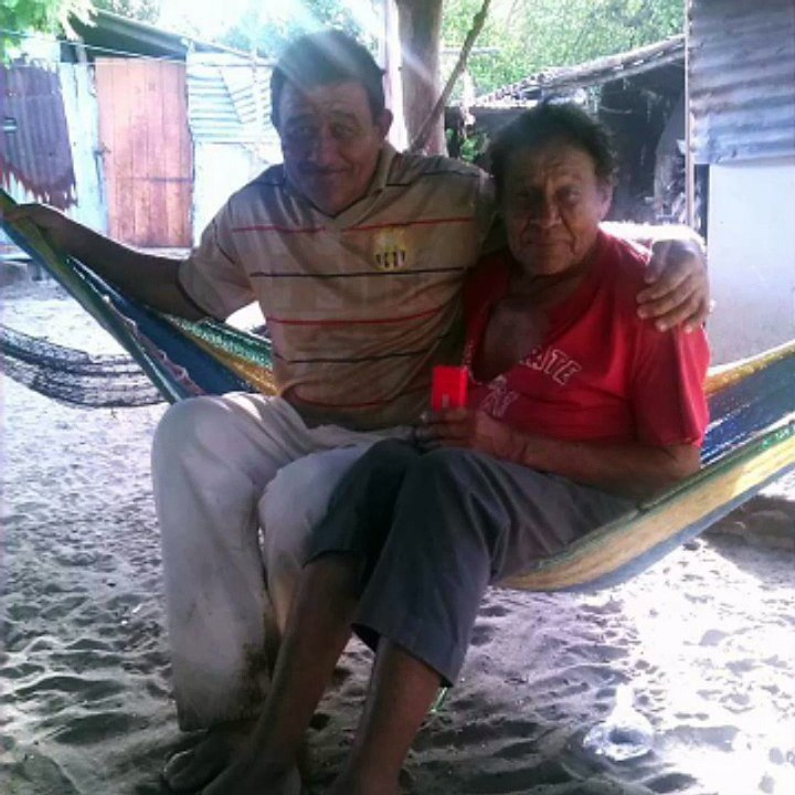 Yo Te Estrñare