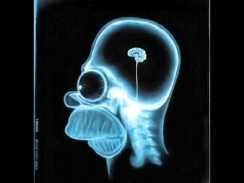 Imitation Omer Simpson