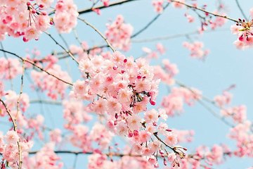 교대오피 약수립카페【 밤전 】마사지 예약 하러가기