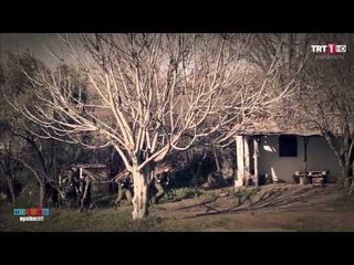 Sedef'in geçmişinden #YeşilDeniz / 18. Bölüm