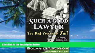 Big Deals  Such a Good Lawyer: Too Bad You re in Jail: A young lawyer s life, learning, and loves,