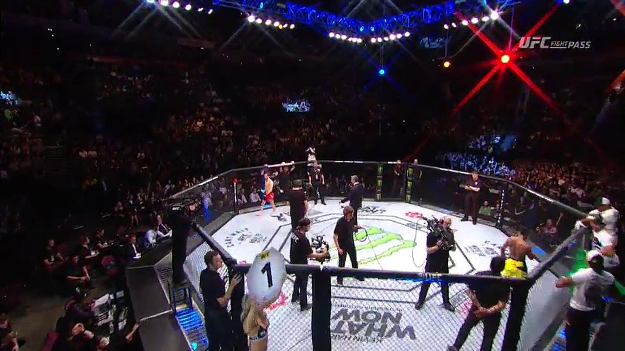 Iuri Alcantara vs Brad Pickett (08-10-2016) UFC 204