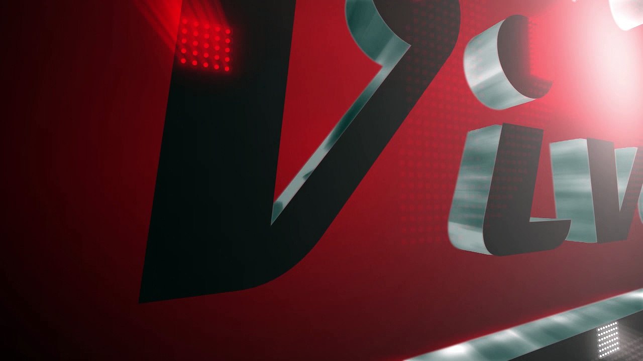 viva logo