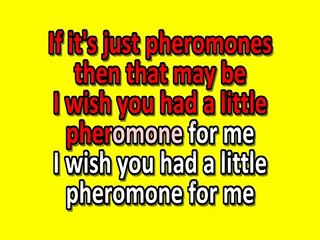 Tom Odell - Magnetised KARAOKE / INSTRUMENTAL