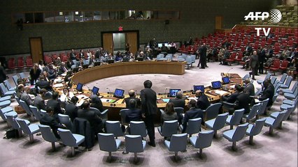 Enviada da ONU pede que tropas fiquem mais 6 meses no Haiti