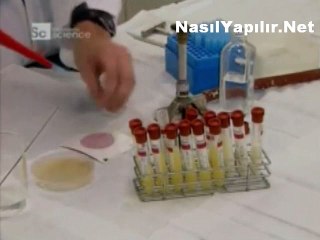 Mozzerella Peyniri Nasıl Yapılır?