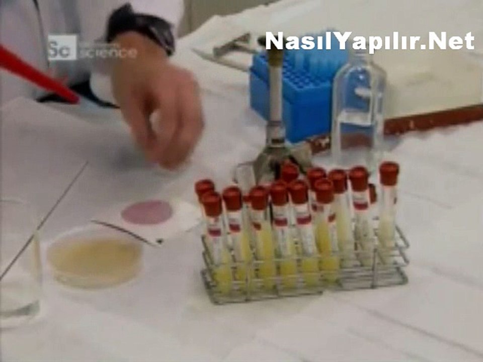 Mozzerella Peyniri Nasıl Yapılır?