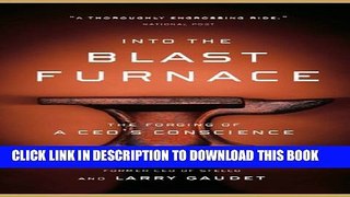 [PDF] Into the Blast Furnace: The Forging of a CEO s Conscience Full Online