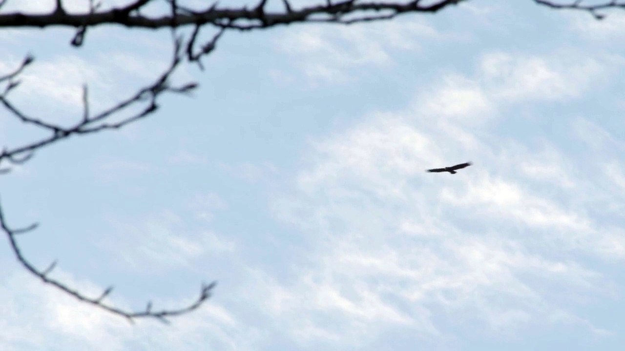 business opportunities for stay at home moms