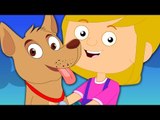 Dog Song | Original Song From Zebra | Nursery Rhymes For Kids And Toddlers