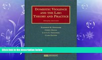 different   Domestic Violence and the Law: Theory and Practice (University Casebook)