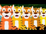 Five Big Tigers | Tigers