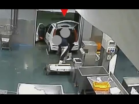 Modugno (BA) - Rubavano pesce nell'azienda in cui lavoravano, 6 arresti (11.10.16)