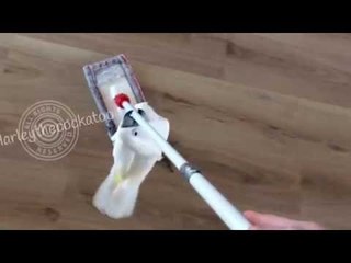 Daring Cockatoo Goes for a Ride on Sweeper