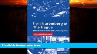 FAVORITE BOOK  From Nuremberg to The Hague: The Future of International Criminal Justice