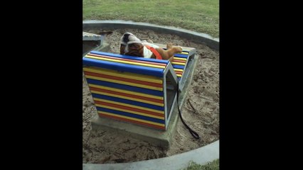 Lazy bulldog sprawls out at the beach