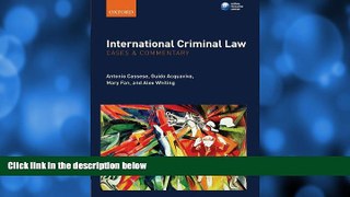 FULL ONLINE  International Criminal Law: Cases and Commentary
