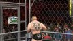 Brock Lesnar v.s Undertaker v.s Batista (UFC v.s WWE)