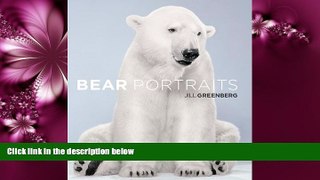 Popular Book Bear Portraits
